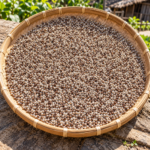 Brown Perilla Seeds (150g) - Authentic Manipur Thoiding - Image 3